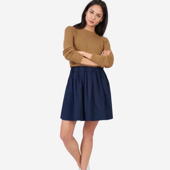 Everlane Dresses & Skirts - Everlane Cotton Poplin Pleated Skirt